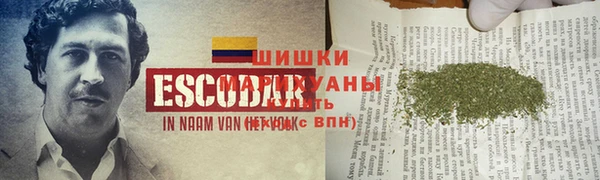 шишки Беломорск
