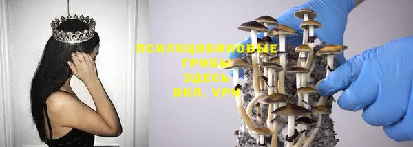 шишки Беломорск