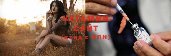 шишки Беломорск