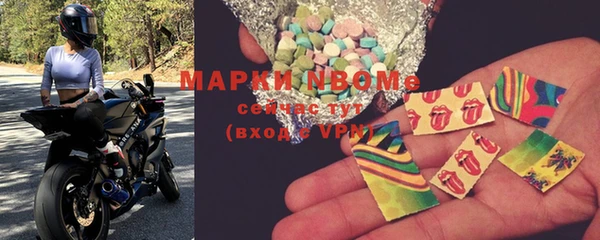 шишки Беломорск