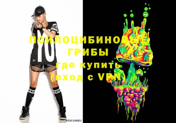 ГАЛЛЮЦИНОГЕННЫЕ ГРИБЫ Белоозёрский