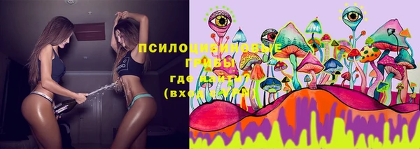 ГАЛЛЮЦИНОГЕННЫЕ ГРИБЫ Белоозёрский