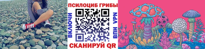 ОМГ ОМГ tor  Чулым  Псилоцибиновые грибы мицелий 